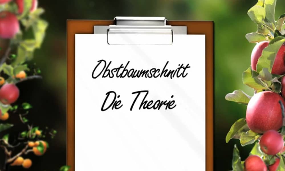 Obstbaumschnitt Die Theorie