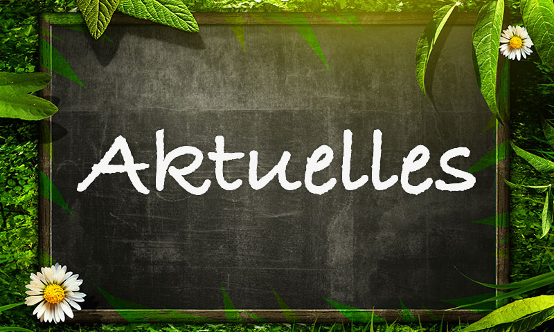 aktuelles Aktuelles