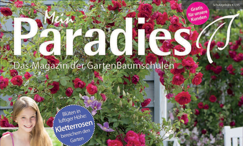 mein-paradies-magazin Mein Paradies Magazin