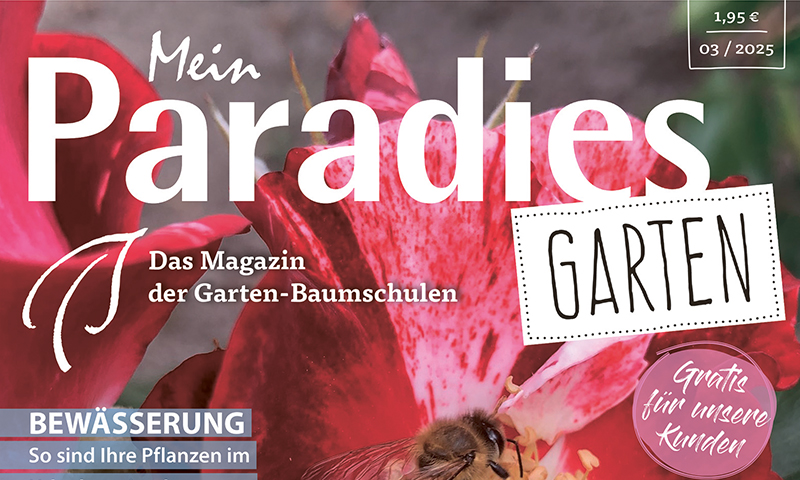 Mein Paradies Garten
