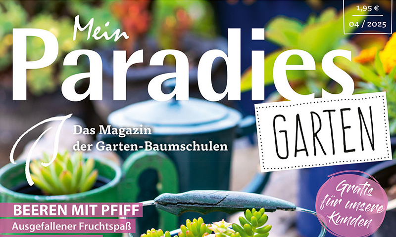 mein_paradies_garten