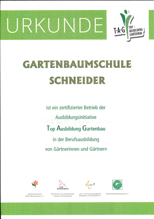 Top Ausbildung