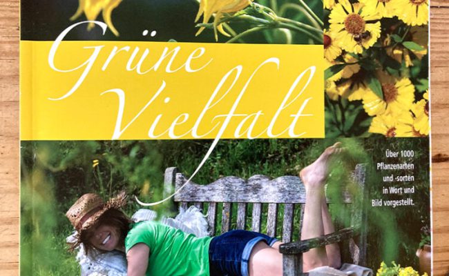 Pflanzenkatalog_Gruene_Vielfalt-768x461-1.jpg