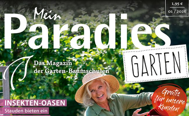 mein_paradies_garten