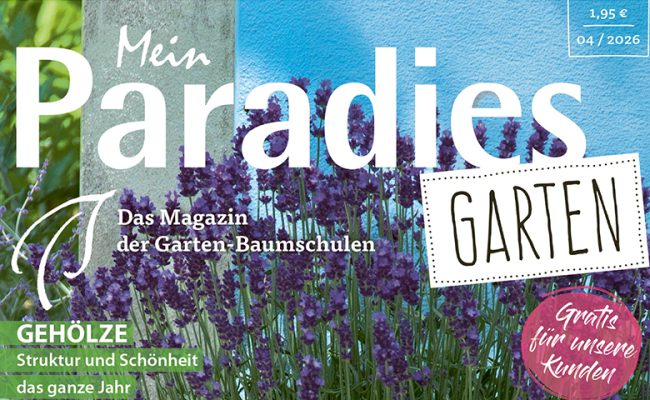 Mein Paradies Garten