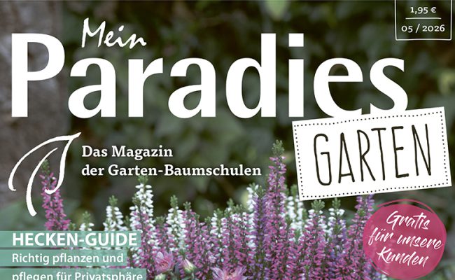 Mein Paradies Garten